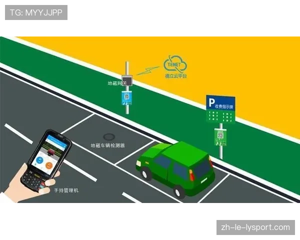 联赛场馆智慧停车系统的商业可行性研究，大型智慧停车场